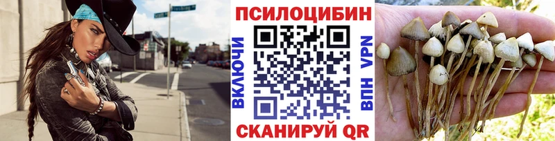 мега рабочий сайт  Пыть-Ях  Галлюциногенные грибы прущие грибы 